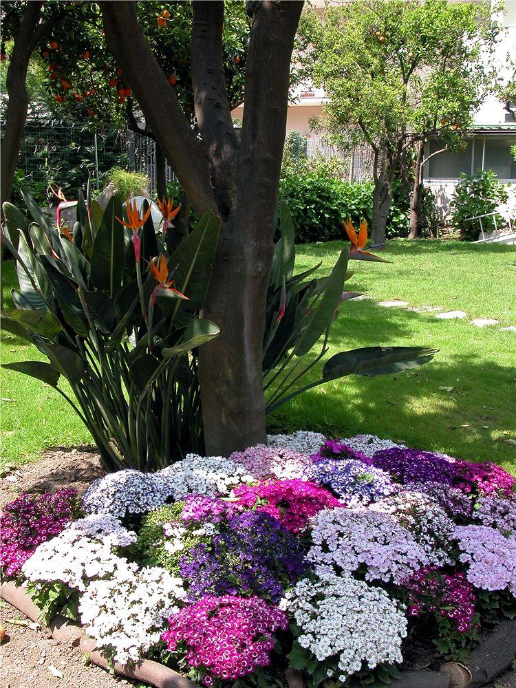 Carlton International 5* Sorrent